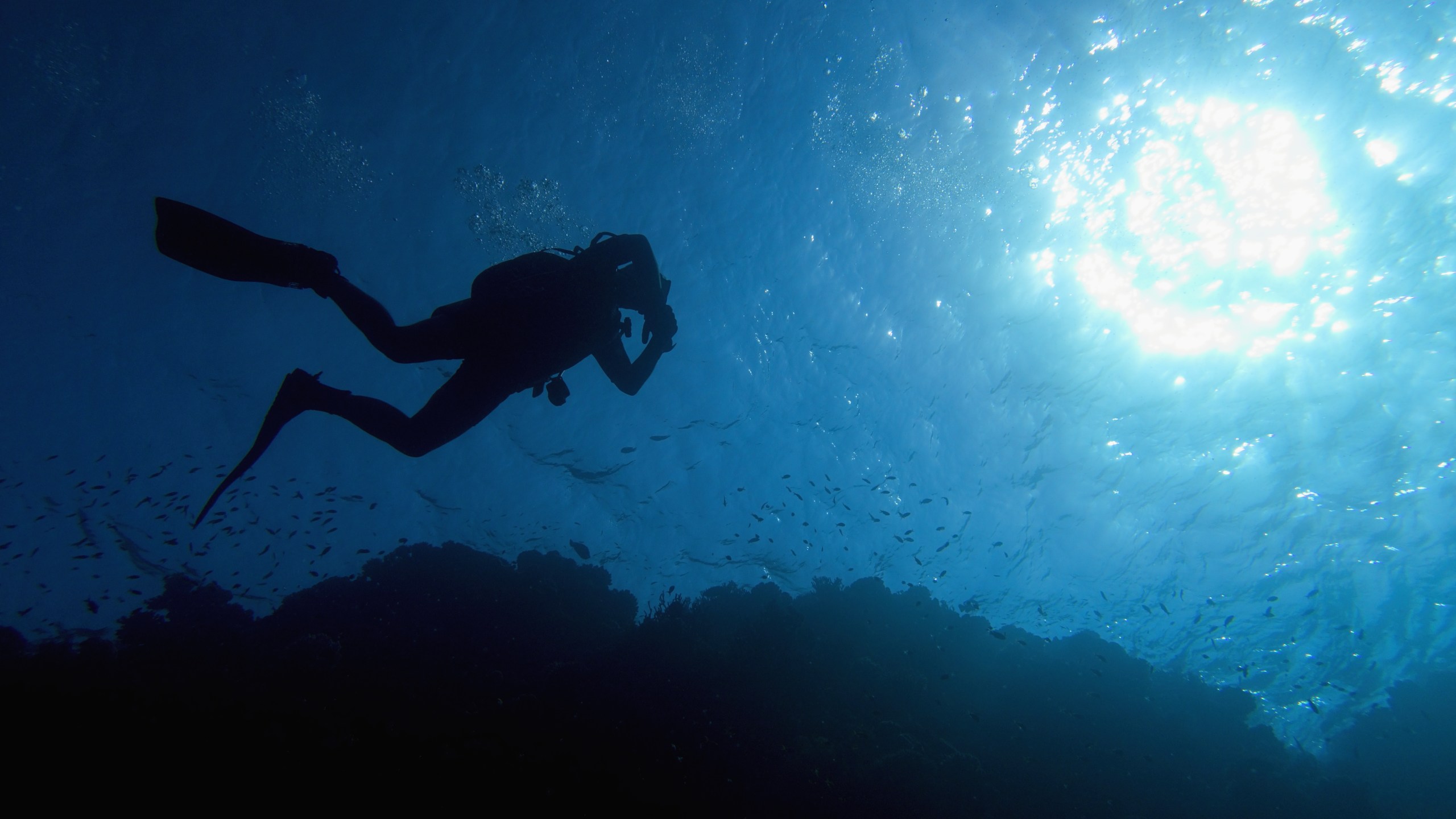 Scuba diver swimming (Getty Images)