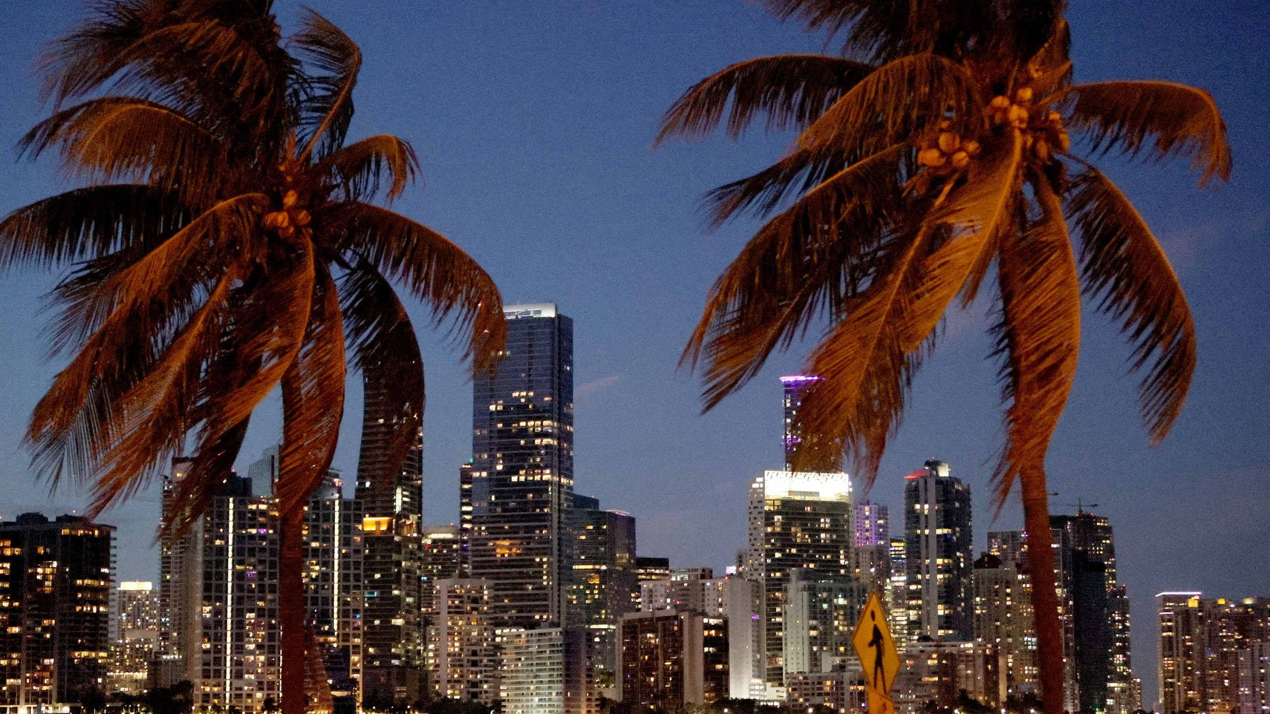 The City of Miami skyline is seen through palm trees