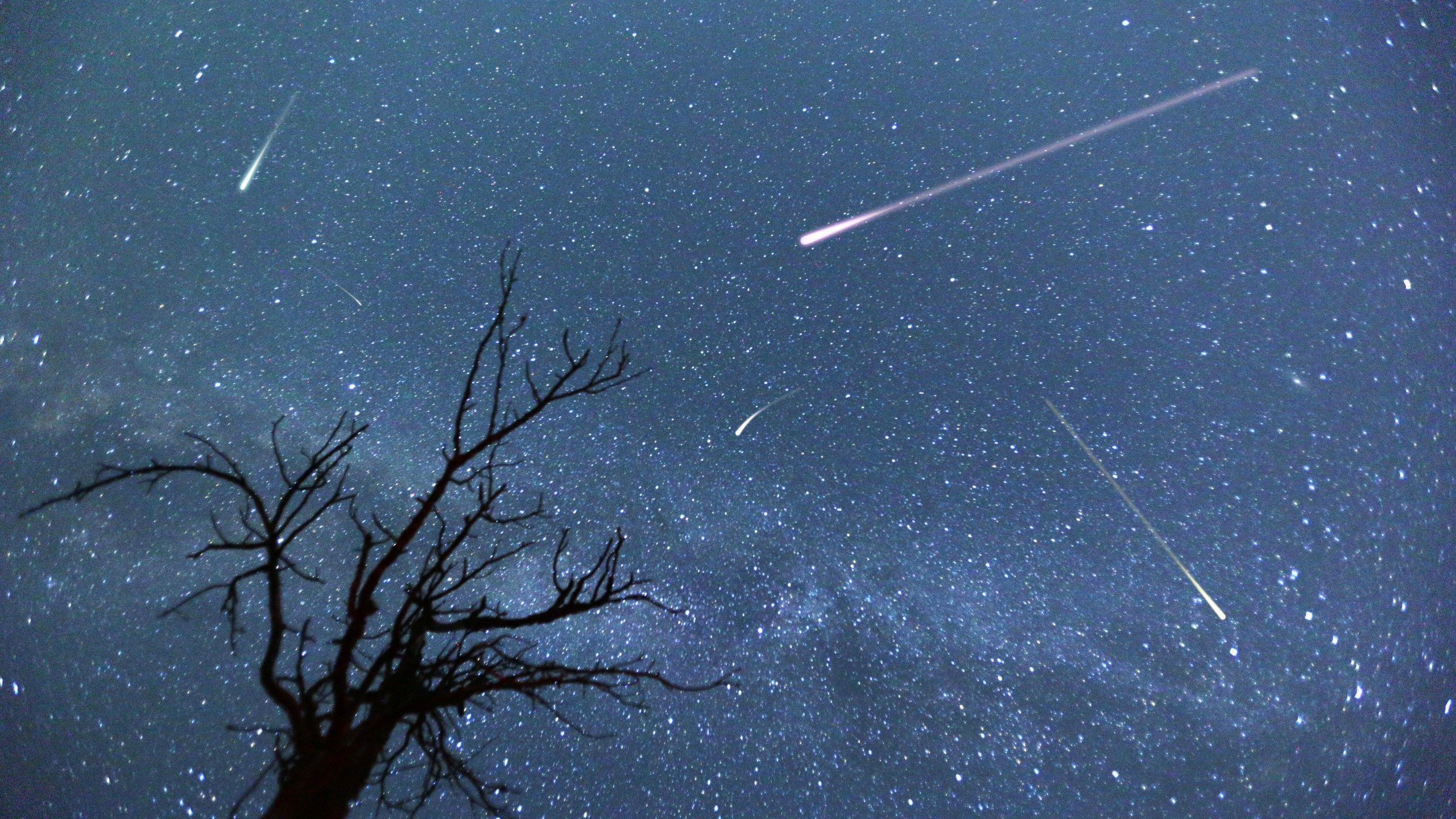 Perseid