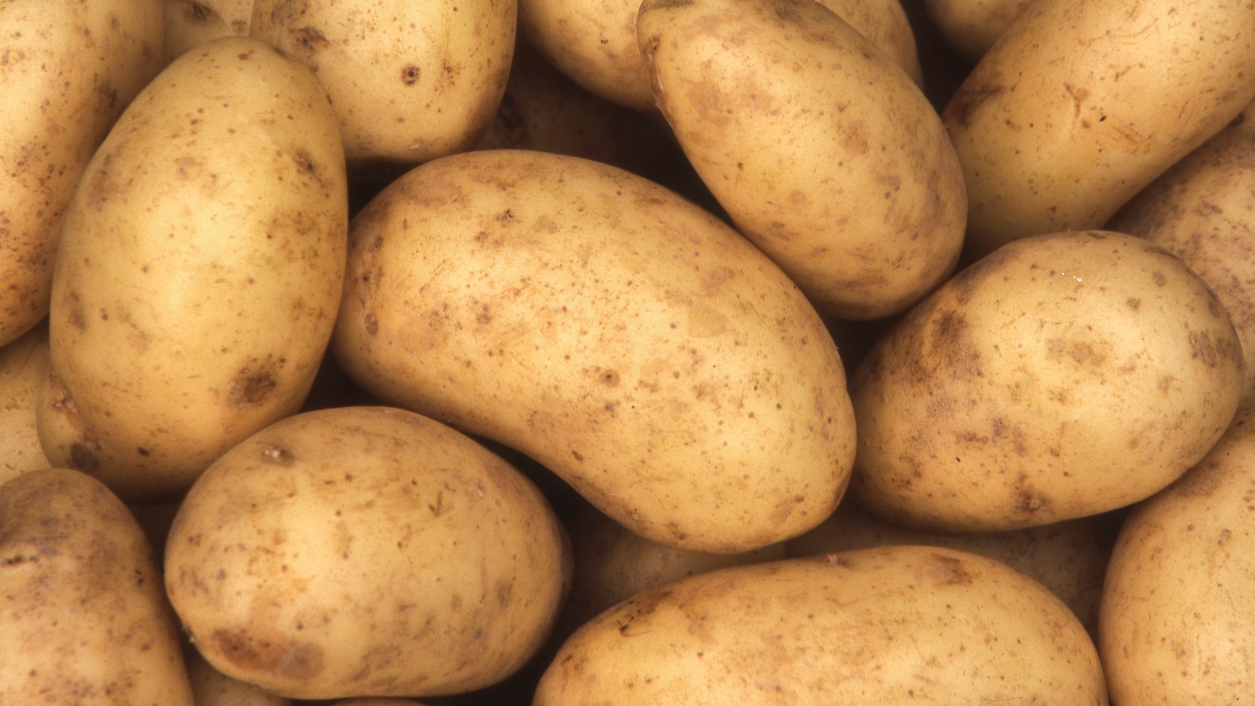 A picture of potatoes.