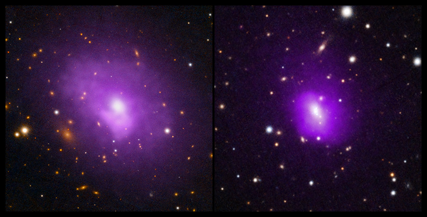 Black holes rotate universe