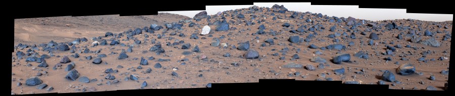 An image of a field of rocks on Mars with one white rock in the middle.