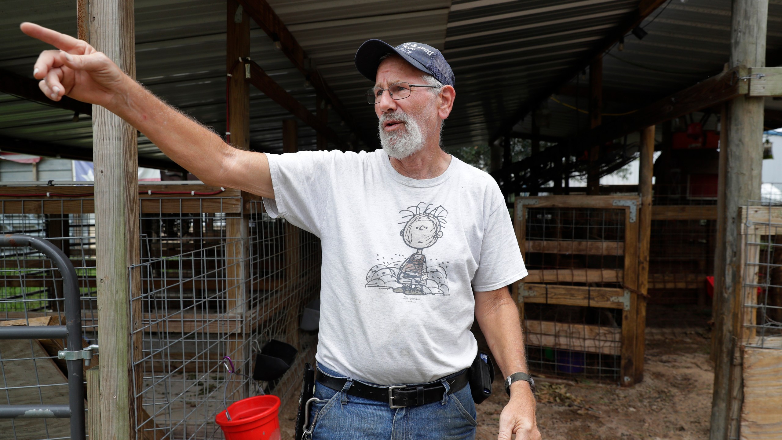 Chuck Ridder, owner of Knox Drive Farm and Feed, at pens adjacent to his feed store used by local 4H students, talks about other impacts of hurricane Beryl on him, his feed store and customers Friday, July 12, 2024, in Porter, Texas. Ridder has always been a proponent of community banding together during hard times and has expanded bartering and extending credit for his customers as they all work to recover from Beryl. (AP Photo/Michael Wyke)