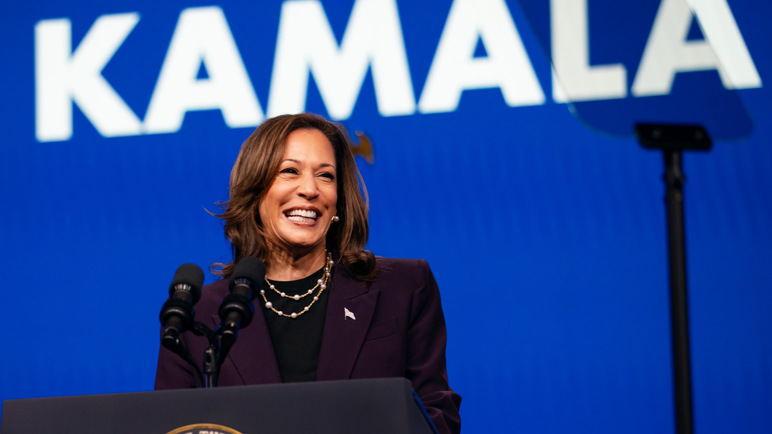 Vice President Kamala Harris