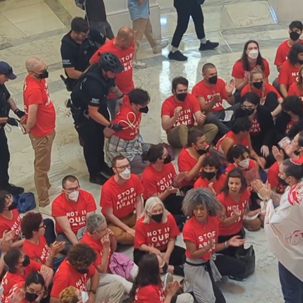 Protesters from Jewish Voice for Peace gathered at the Cannon Rotunda at the Capitol ahead of Netanyahu's visit.