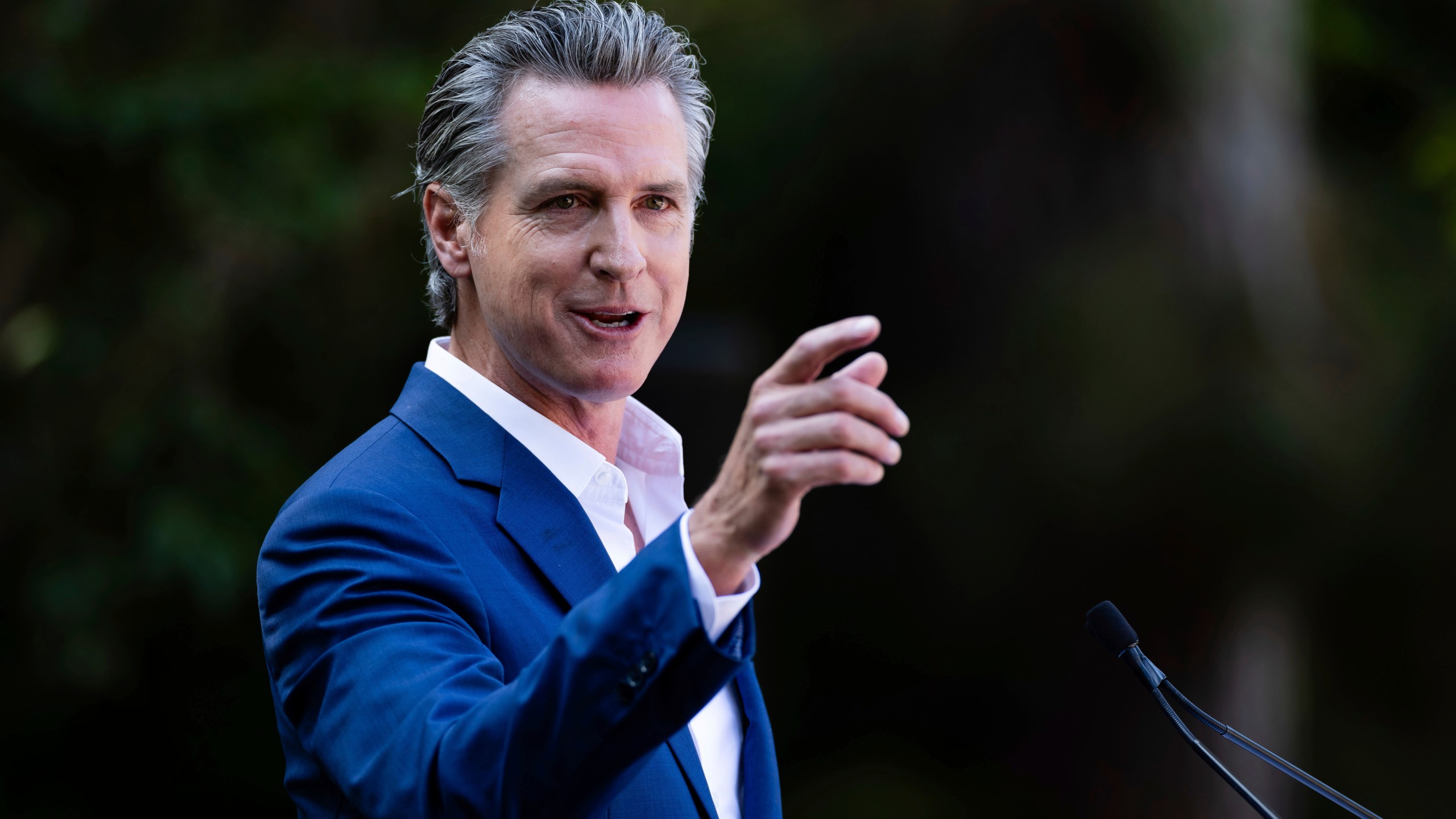 FILE - California Governor Gavin Newsom speaks at the opening ceremony for Panda Ridge the new exhibit at the San Diego Zoo Thursday, Aug. 8, 2024, in San Diego. (AP Photo/Derrick Tuskan, File)