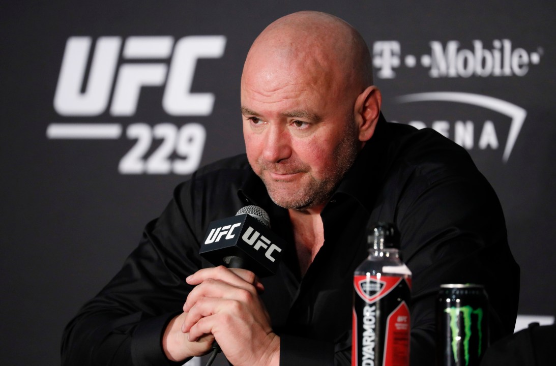 UFC CEO Dana White speaks at a press conference.