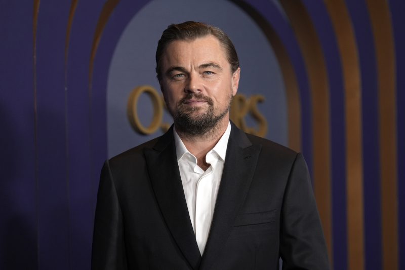 Leonardo DiCaprio poses for photos at an event