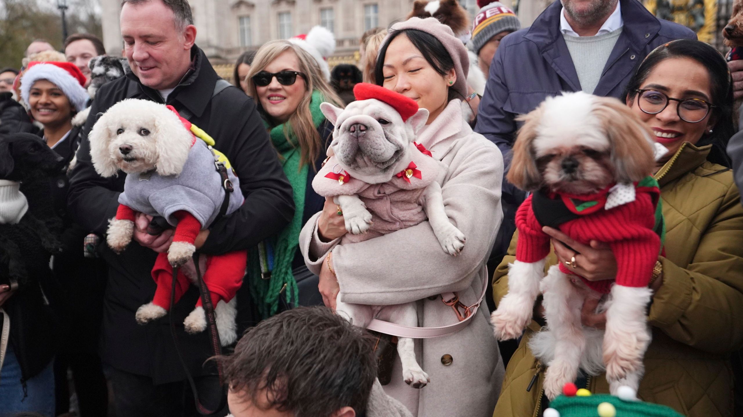 People and dogs take part during the Rescue Dogs of London and Friends Christmas Jumper Parade, outside Buckingham Palace in central London on Saturday Nov. 30, 2024. ( James Manning/PA via AP)