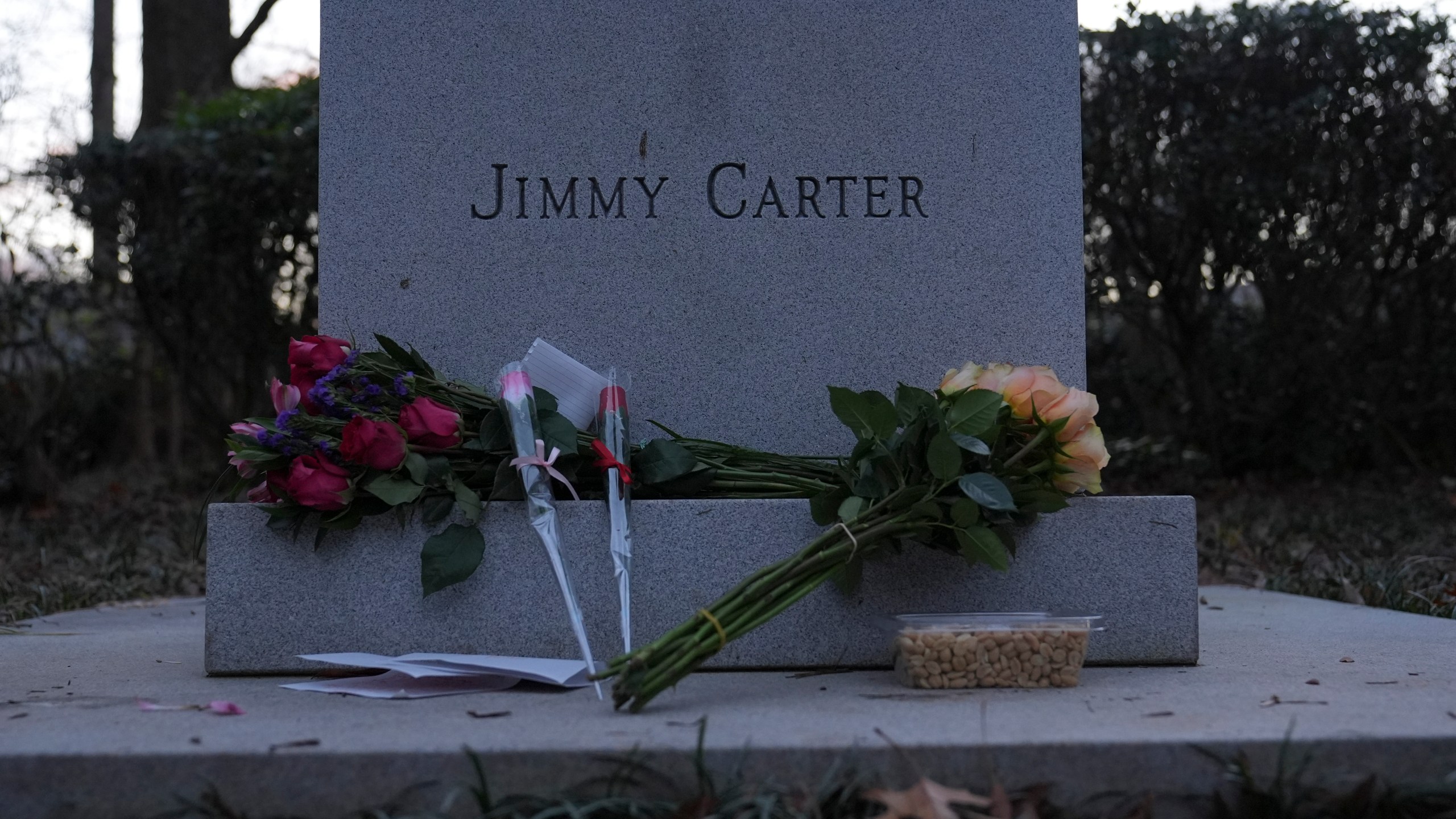Bouquets of flowers and peanuts rests at the base of a bust of former President Jimmy Carter at the Jimmy Carter Presidential Library and Museum on Sunday, Dec. 29, 2024, in Atlanta. (AP Photo/Brynn Anderson)