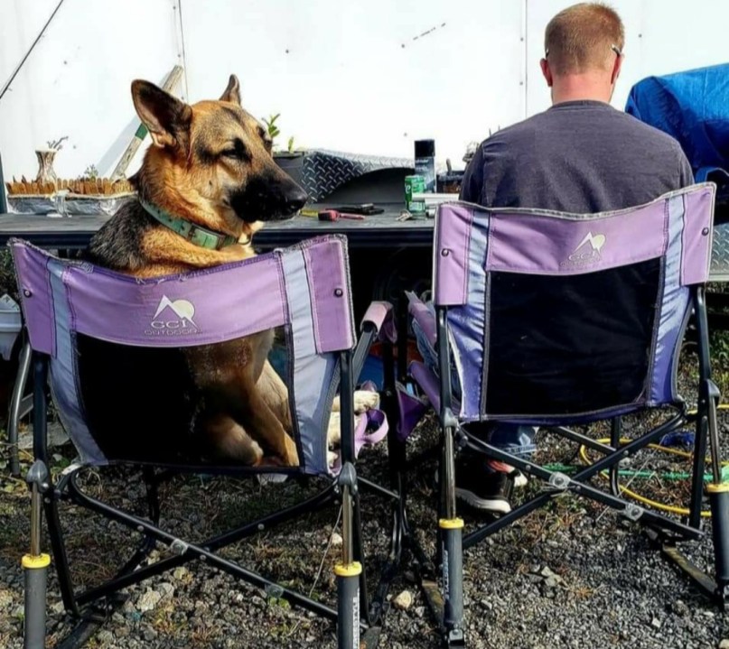 A man in a chair and a dog in a chair