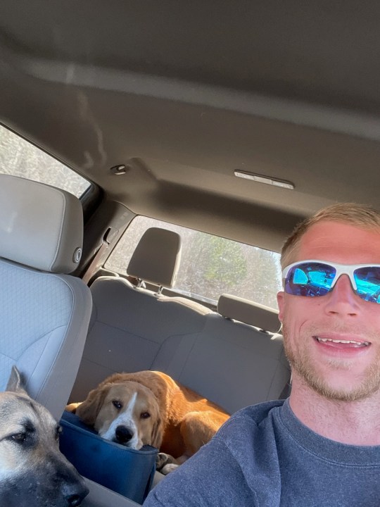 A man in sunglasses in a truck with dogs