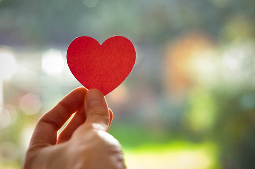 Paper heart in a hand