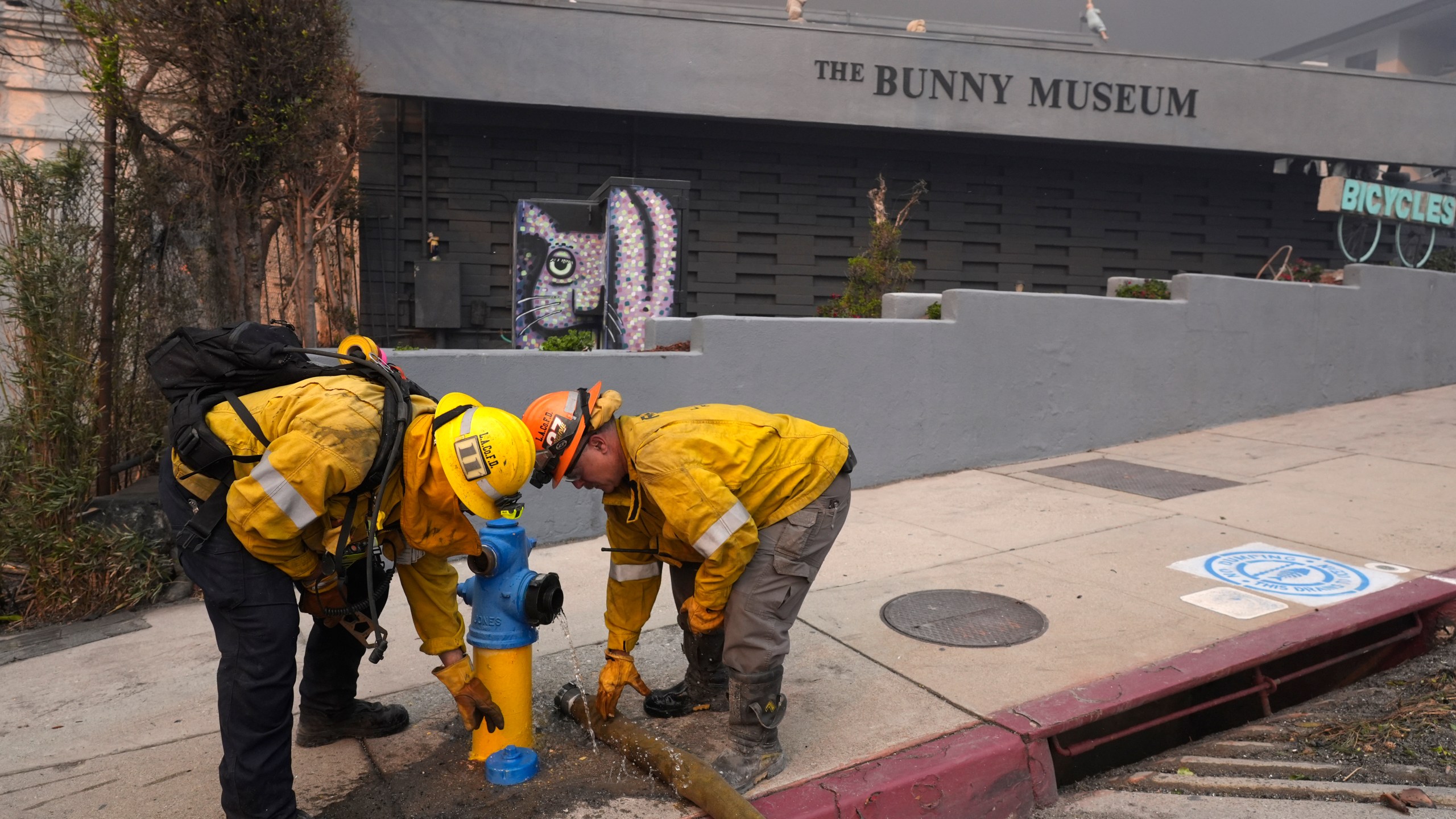Firefighters work a hydrant in front of the burning Bunny Museum, Wednesday, Jan. 8, 2025, in the Altadena section of Pasadena, Calif. (AP Photo/Chris Pizzello)