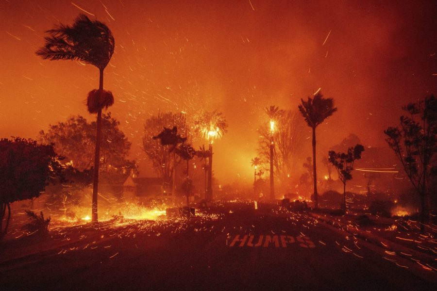 A wildfire ravages a neighborhood of Los Angeles on Jan. 7.