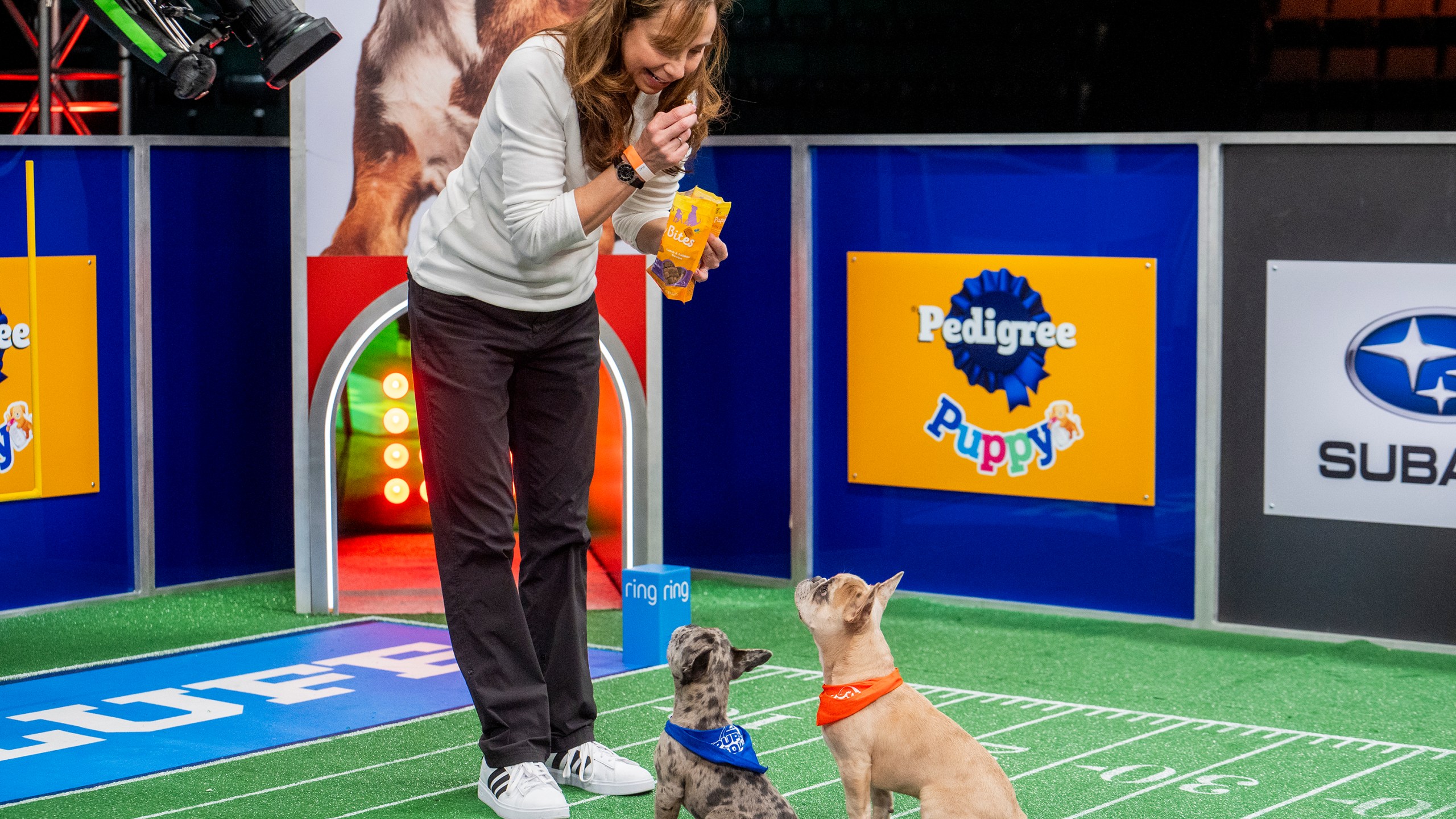 This image released by Animal Planet/Warner Bros. Discovery shows animal expert Victoria Schade interacting with dogs on the set of "Puppy Bowl XXI," airing Sunday. (Animal Planet/Warner Bros. Discovery via AP)
