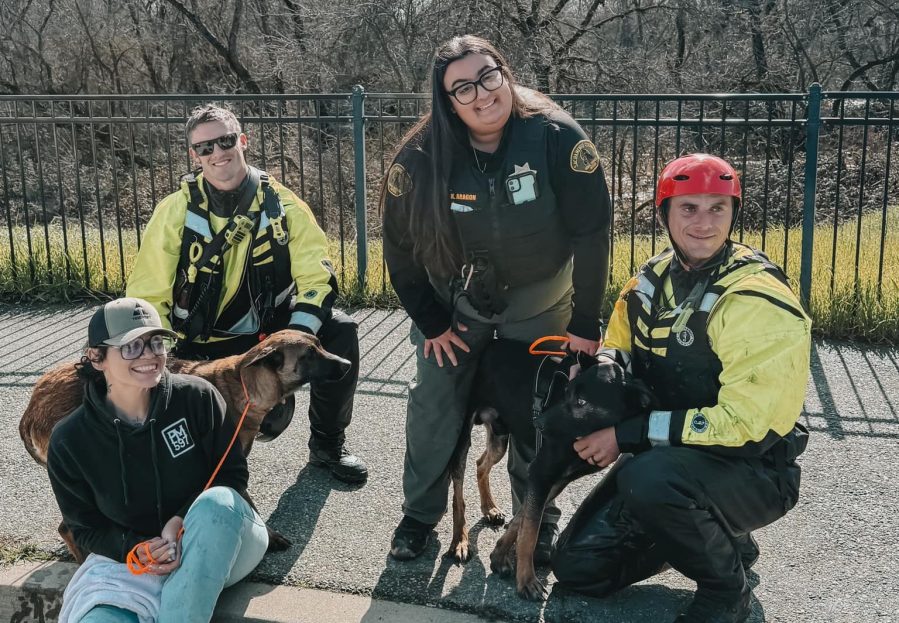 Four people pose with the two rescued dogs.