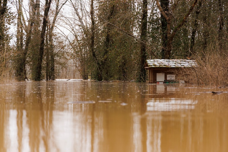 The Barren River floods at the entrance to Weldon Peete Park after a rain storm on February 16, 2025 in Bowling Green, Kentucky.