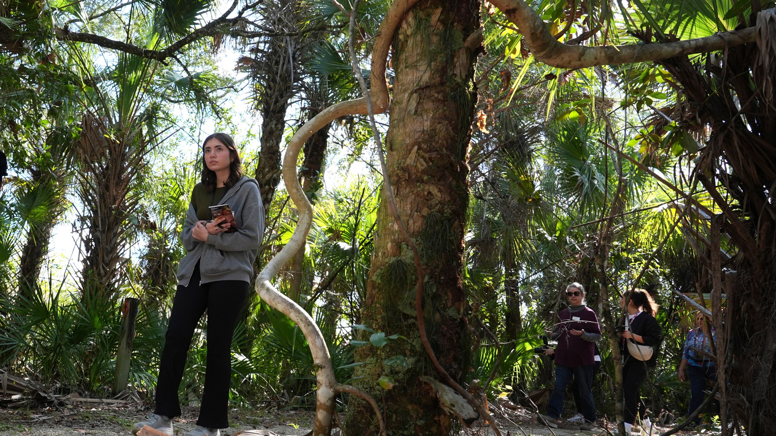 People walk along a path at the Panther National Wildlife Refuge in Southwest Florida, Wednesday, Jan. 15, 2025. (AP Photo/Lynne Sladky)