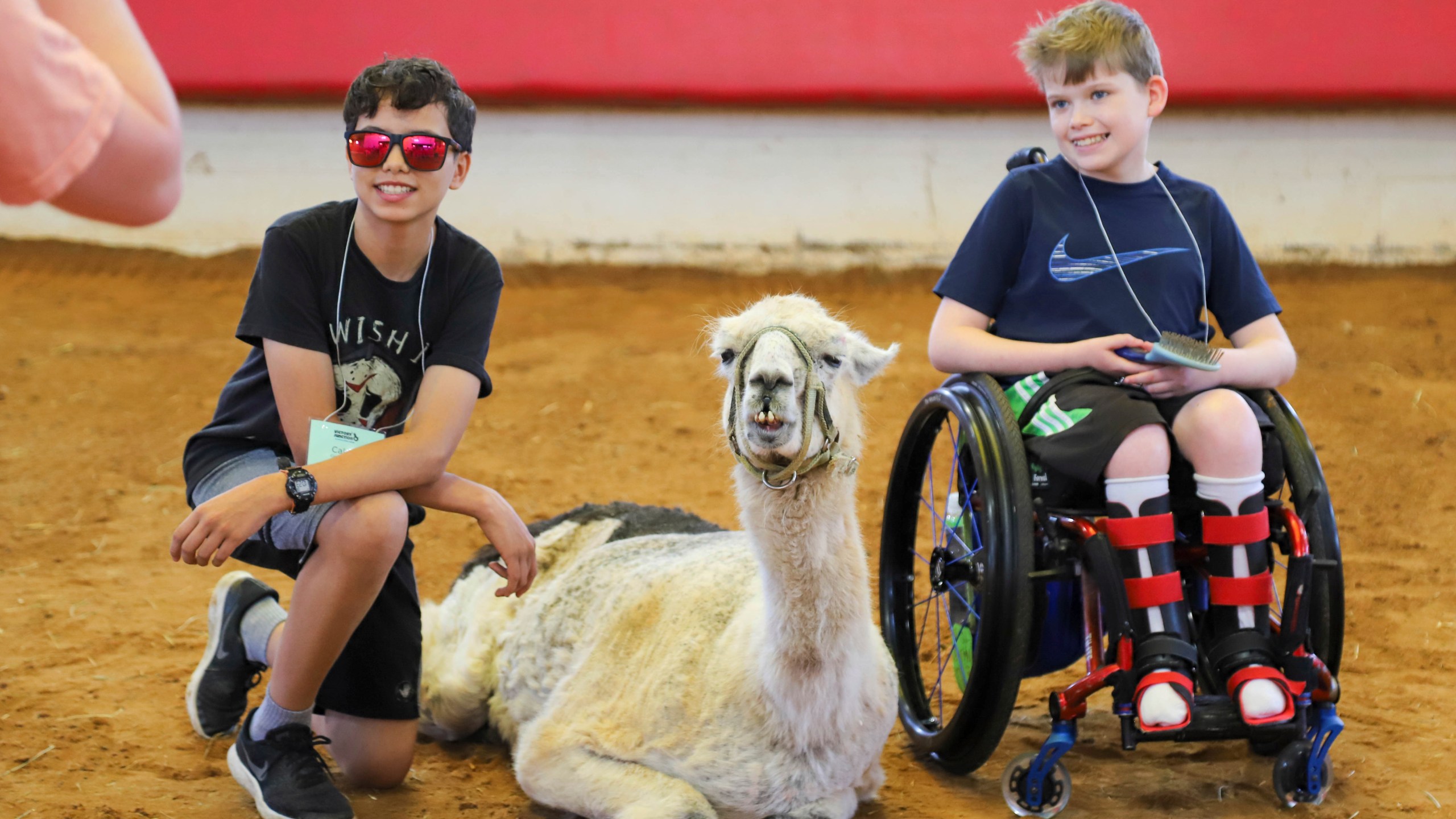 Kids posing for a photo with a llama
