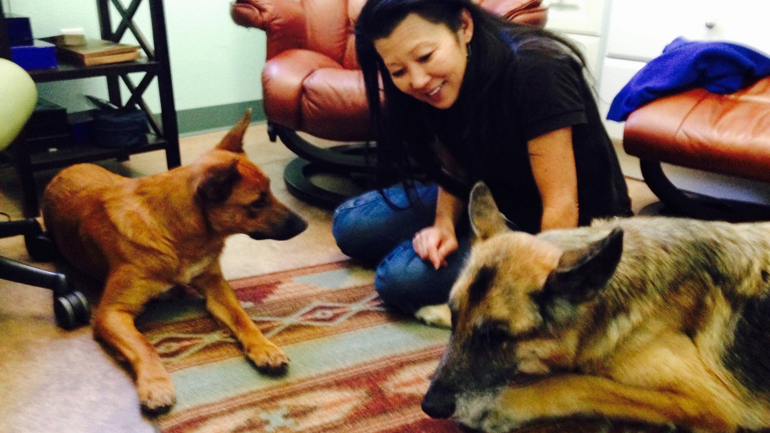 This undated photo provided by Sherry Gaber shows Betsy Arakawa with her dogs Zinna, left, and Bear, in Santa Fe, N.M. (Sherry Gaber via AP)