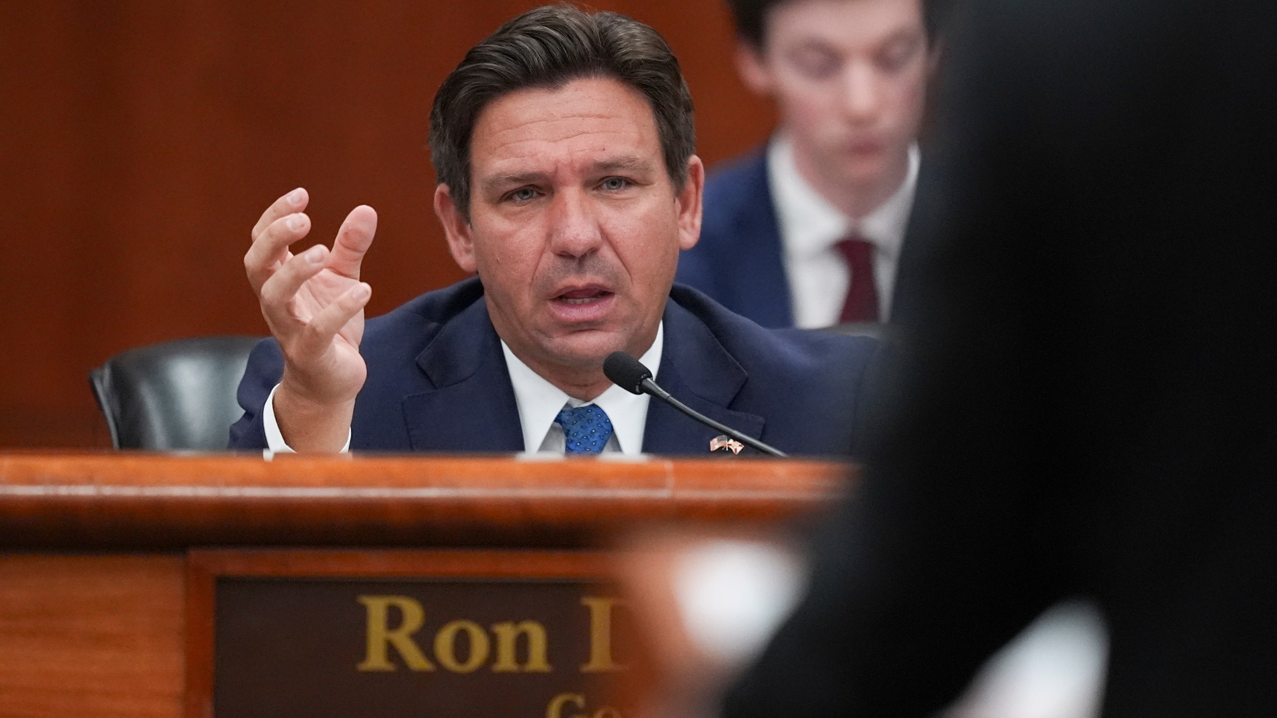 FILE - Gov. Ron DeSantis speaks during a meeting with the state cabinet, at the Florida capitol in Tallahassee, Fla., Wednesday, March 5, 2025. (AP Photo/Rebecca Blackwell, File)