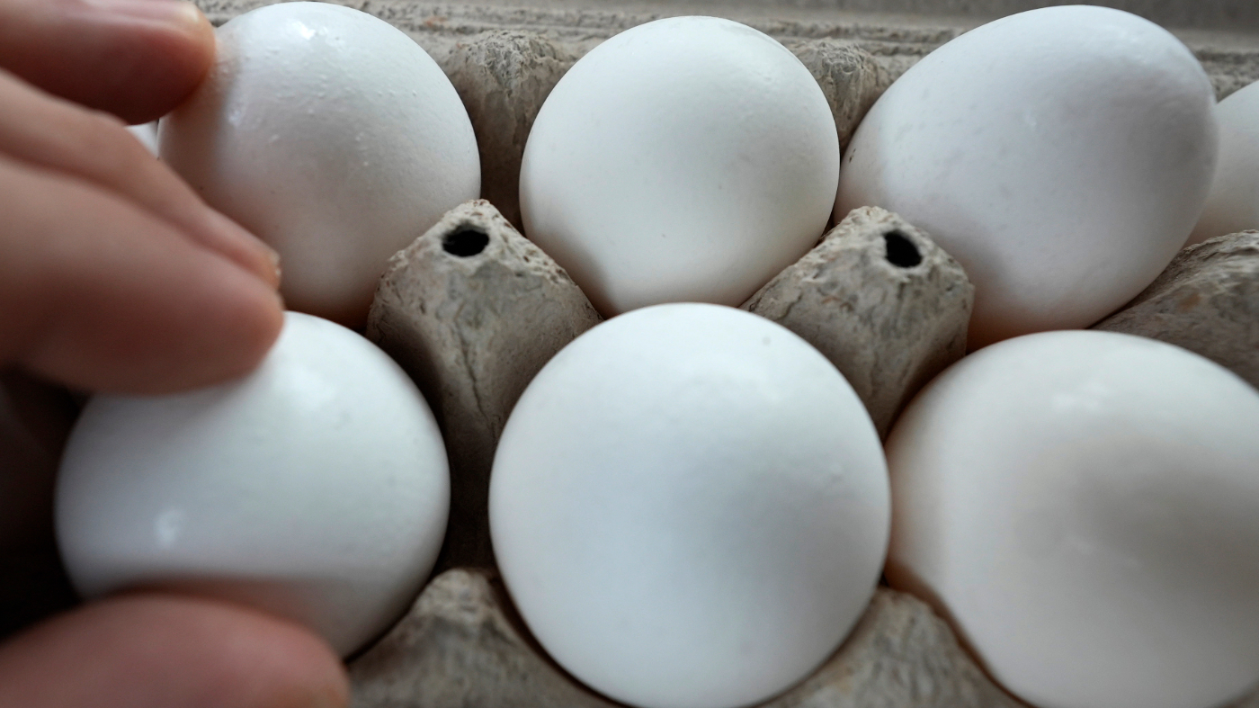 An egg in a carton is handled in Dallas
