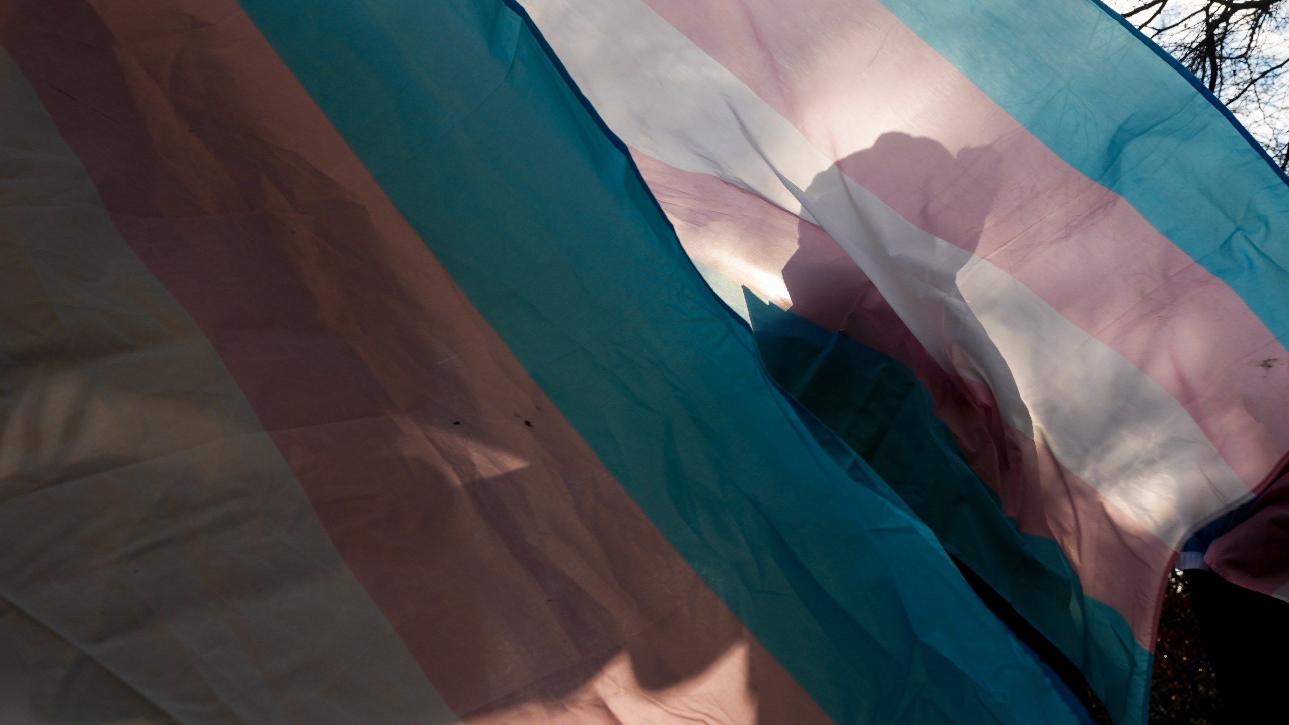 A protester is silhouetted against a trans pride flag