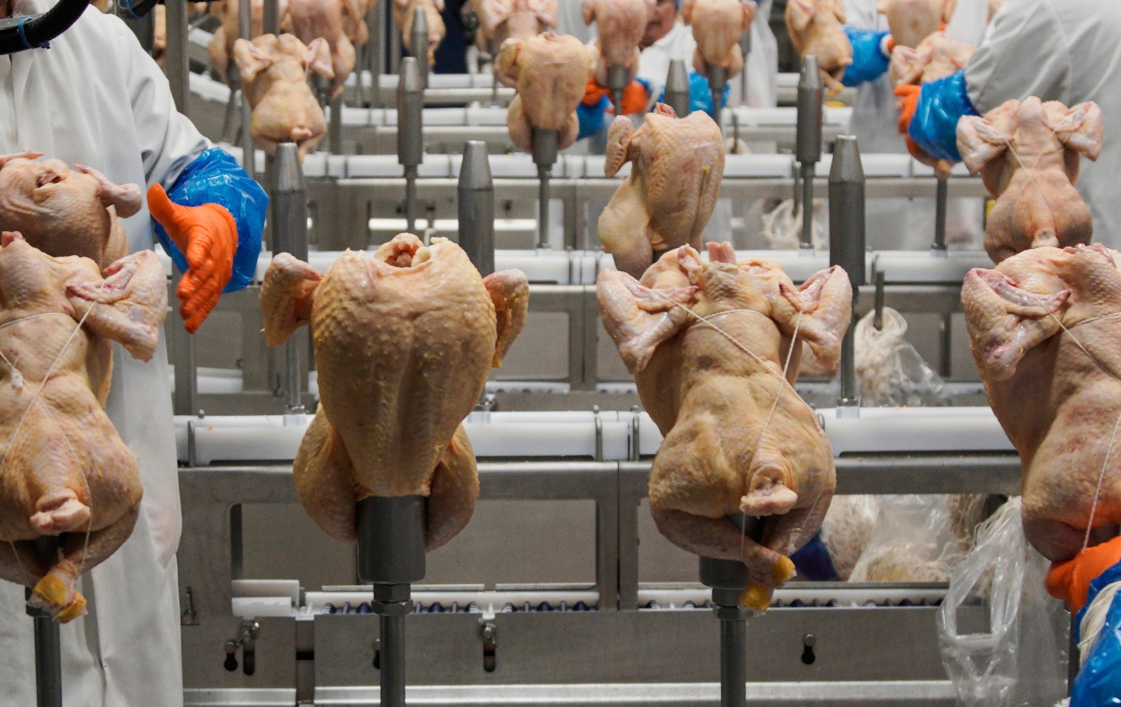 FILE - Workers process chickens at a poultry plant in Fremont, Neb., on Dec. 12, 2019. (AP Photo/Nati Harnik, File)