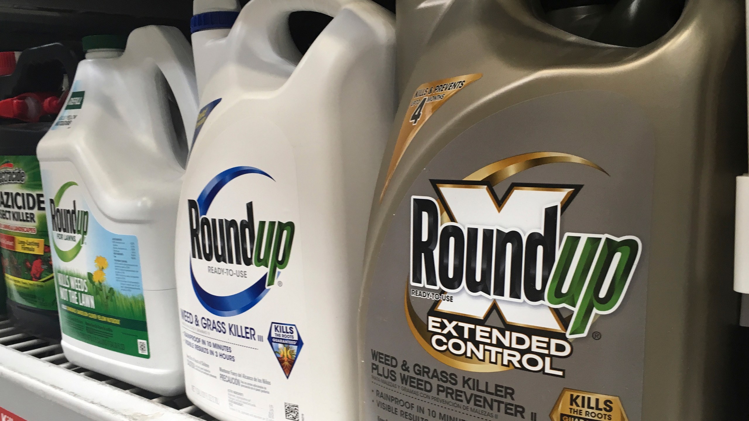 FILE - Containers of Roundup are displayed on a store shelf in San Francisco, Feb. 24, 2019. (AP Photo/Haven Daley, File)