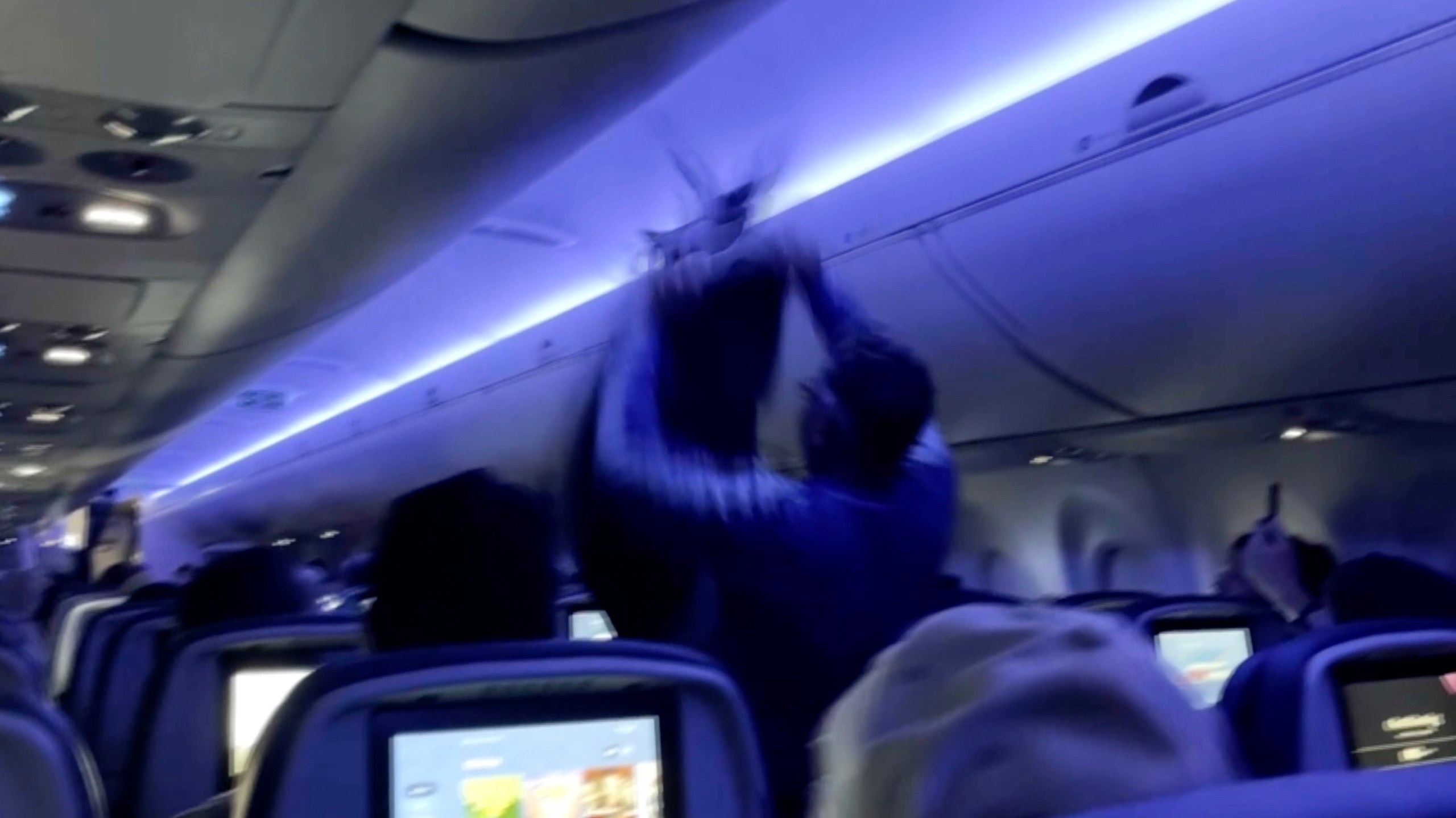 This image taken from video provided by TMX shows a passenger attempting to catch a pigeon flying inside the cabin of a commercial plane, in Minneapolis, Saturday, May 24, 2025. (TMX via AP)