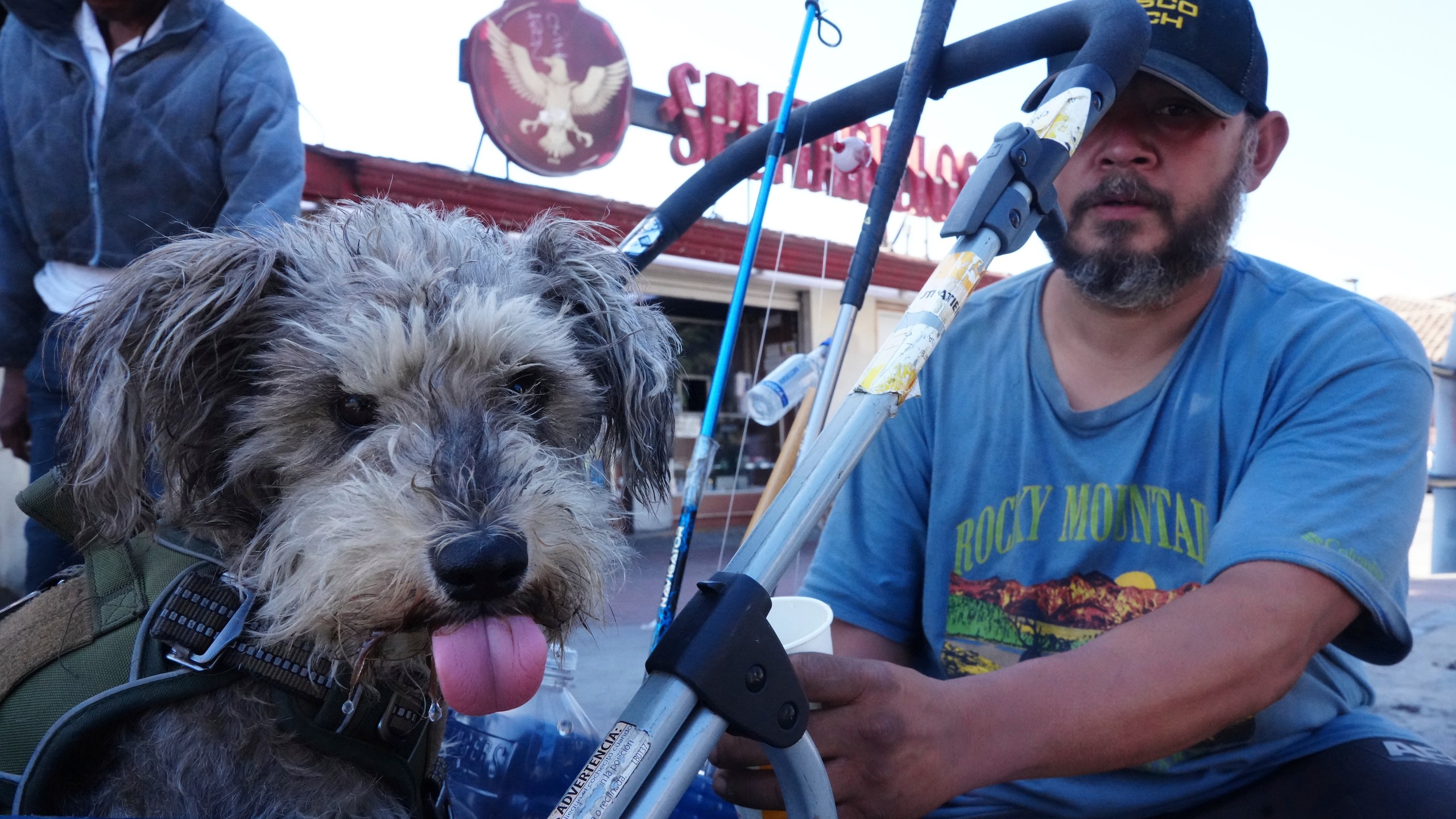 Immigrant Humberto Altamirano, with his dog, Dido, comments on the immigration enforcement in Los Angeles, Monday, June 16, 2025. (AP Photo/Damian Dovarganes)