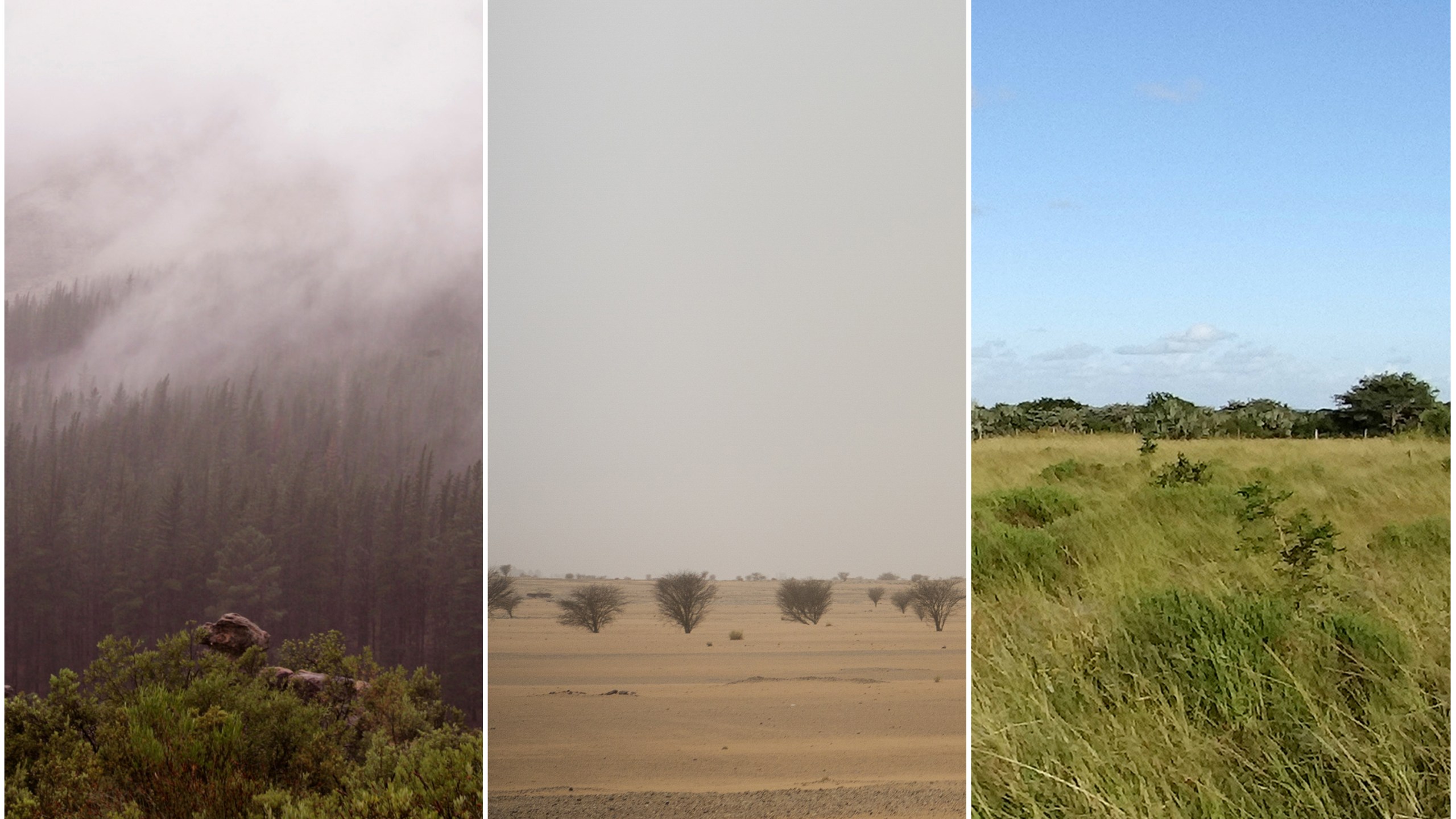 This combination of 2007, 2018 and 2012 photos shows, from left, the Cederberg mountain range in South Africa, the Tenere desert in Niger and savanna in South Africa. (AP Photo/Schalk van Zuydam, Jerome Delay, Matthew Craft)