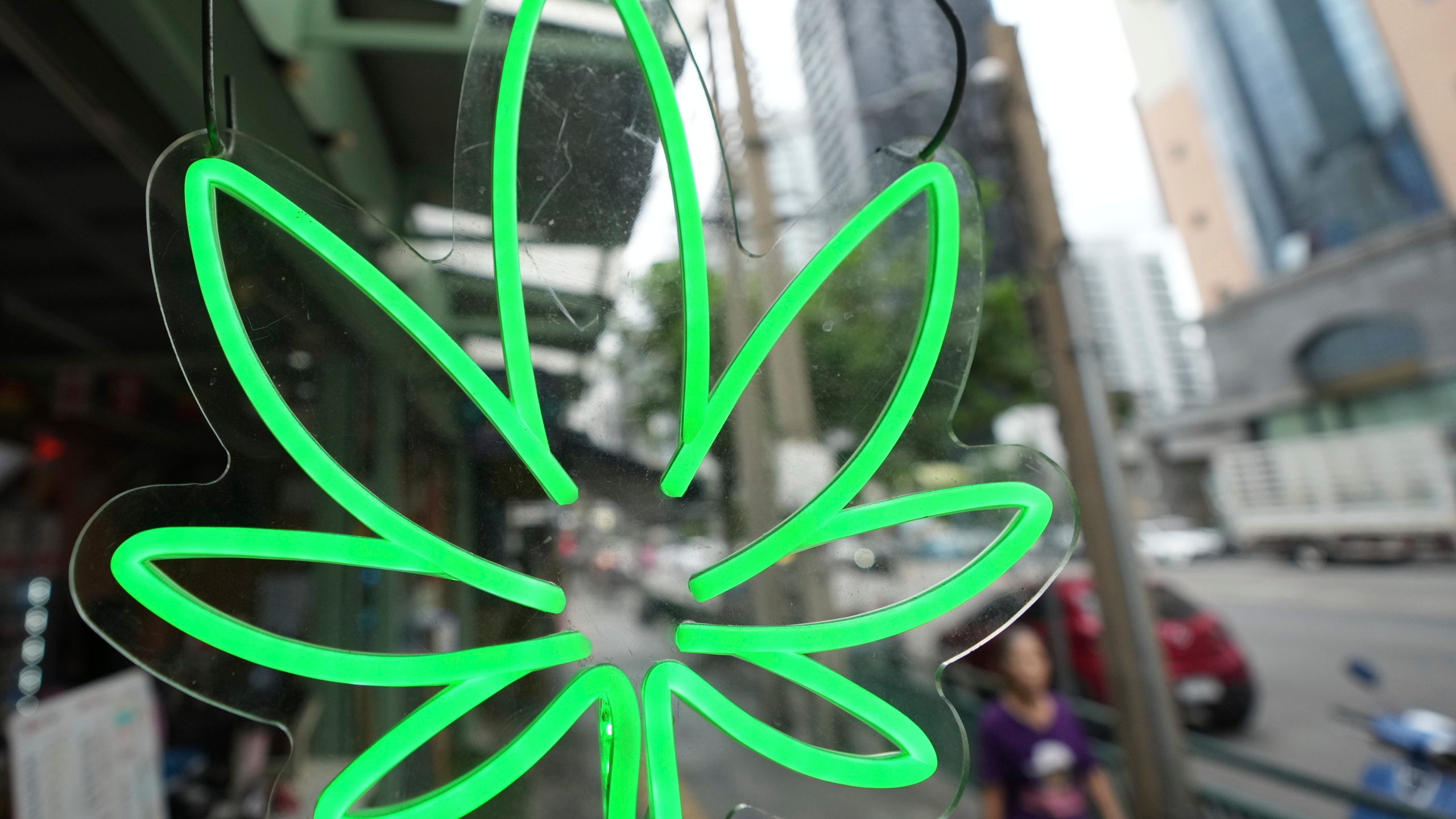 A pedestrian walks by the sign of a Cannabis shop after Thailand started banning the sale of cannabis to those without a prescription in Bangkok, Thailand, Friday, June 27, 2025. (AP Photo/Sakchai Lalit)