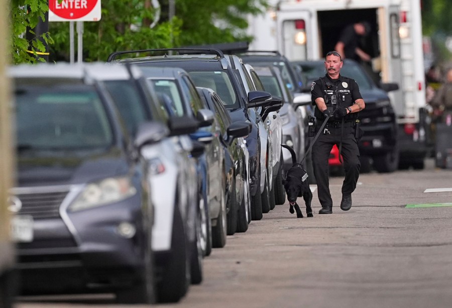 officer and K9 work the scene after an attack in Denver