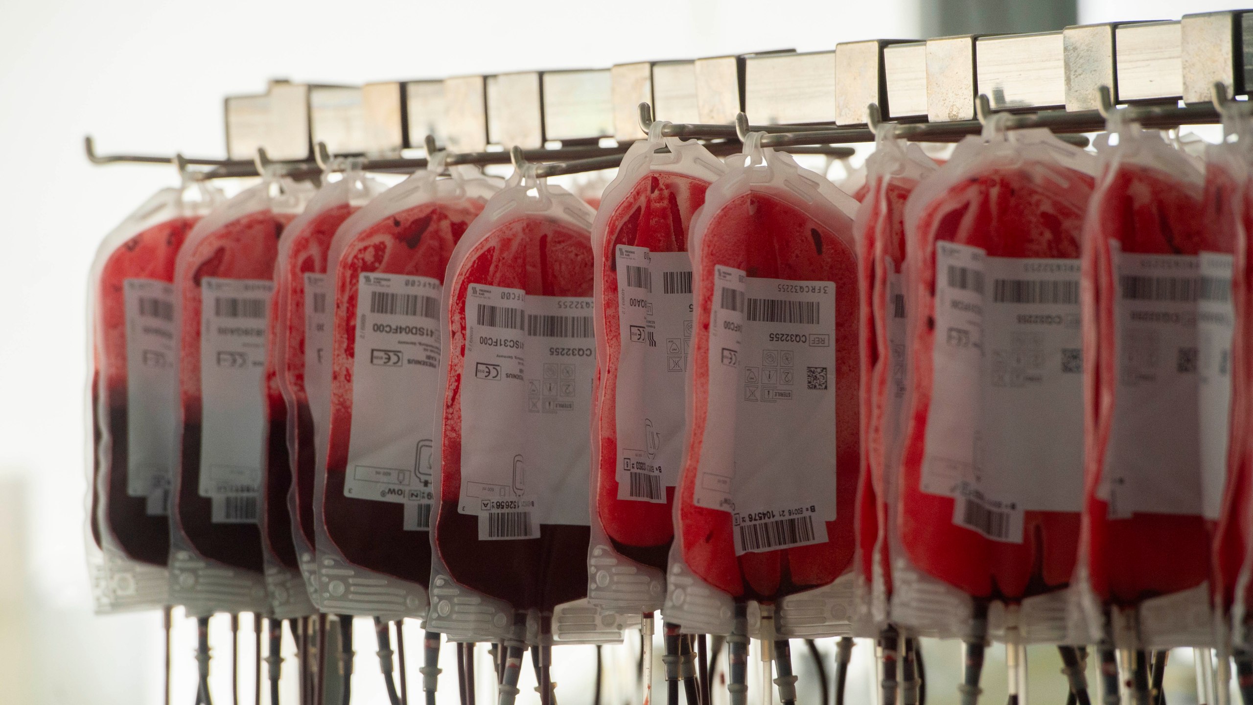 hanging blood bags