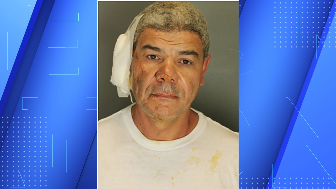 Mohamed Soliman mugshot