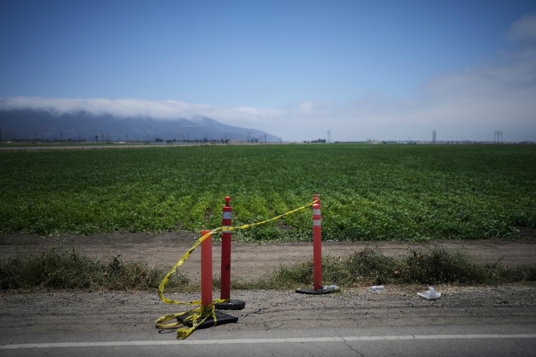 A farm field is seen on Friday, July 11, 2025, in Camarillo, Calif