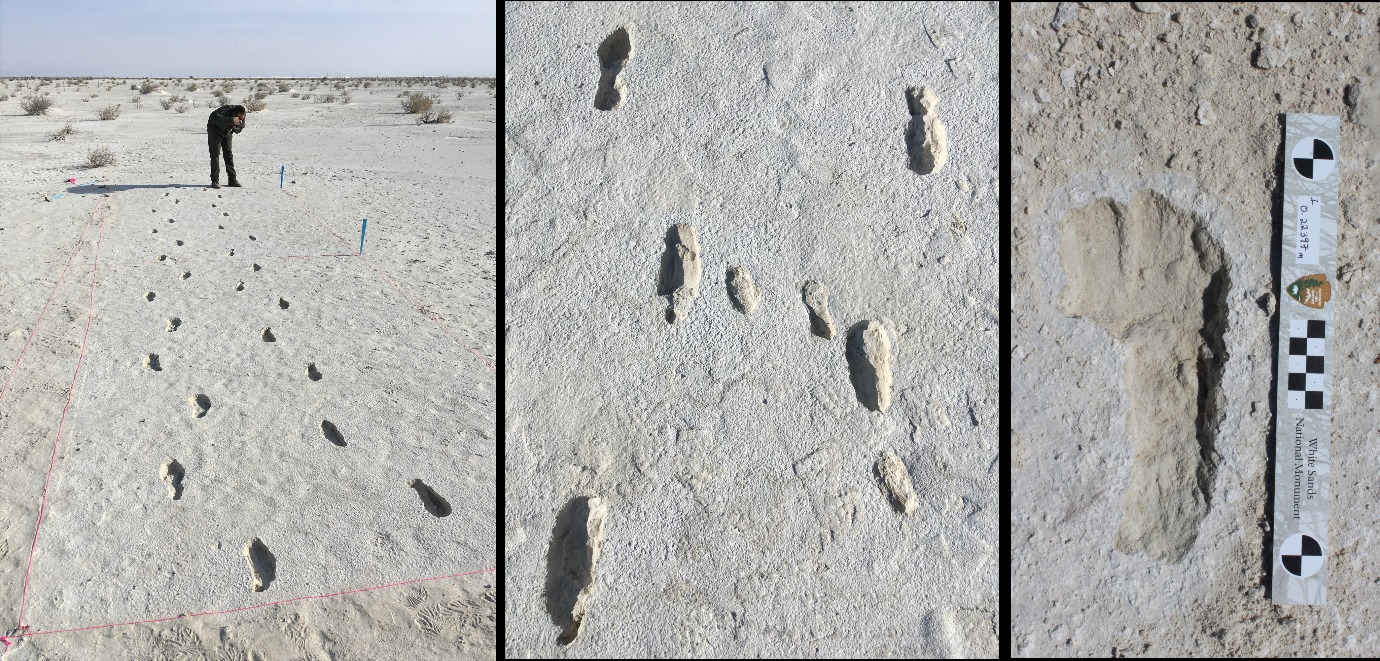 Ancient footprints preserved in New Mexico