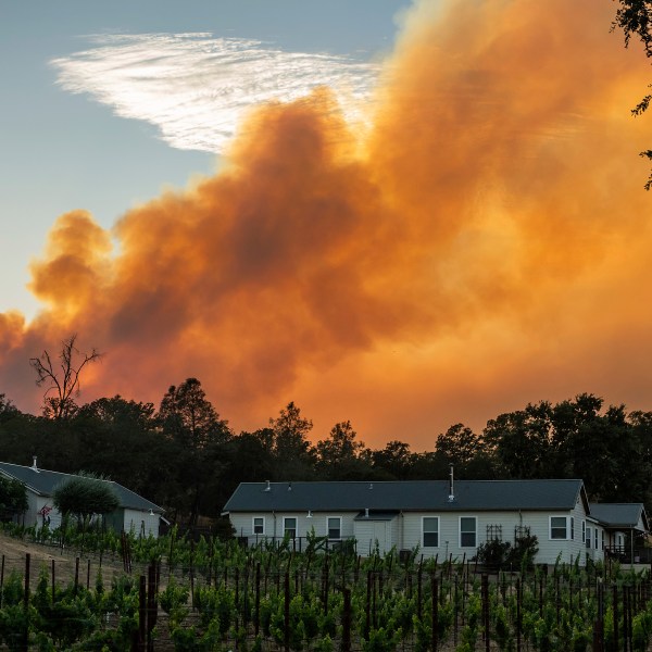 smoke billows from a wildfire at a vineyard
