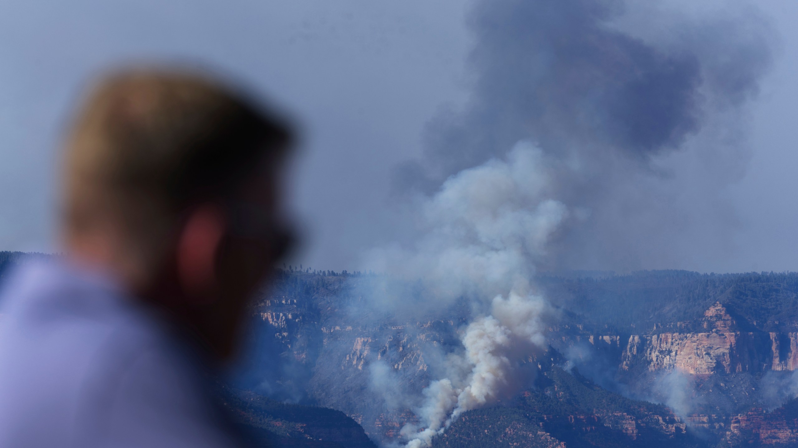 Smoke rises from a wildfire in the background