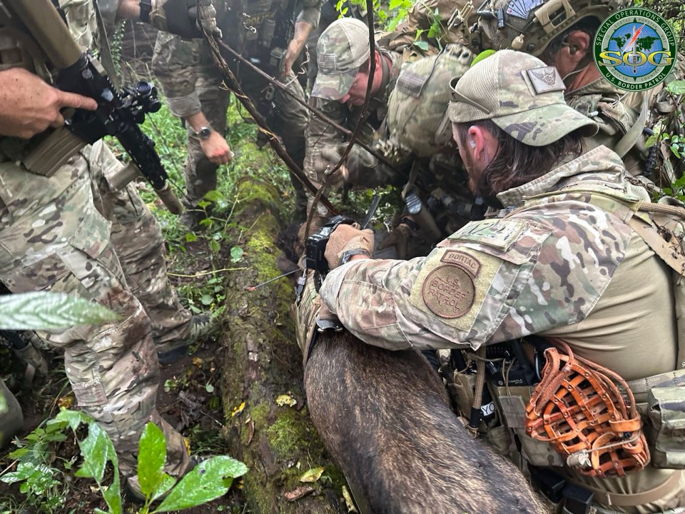 BORTAC Calcacante capture