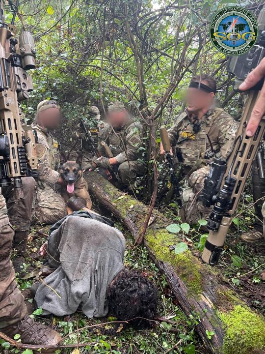 BORTAC Calvacante search