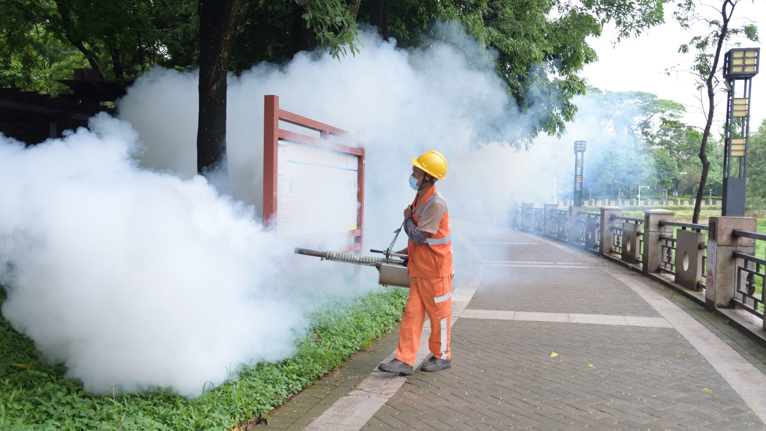 A sanitation worker sprays insecticide to prevent the spread of Chikungunya
