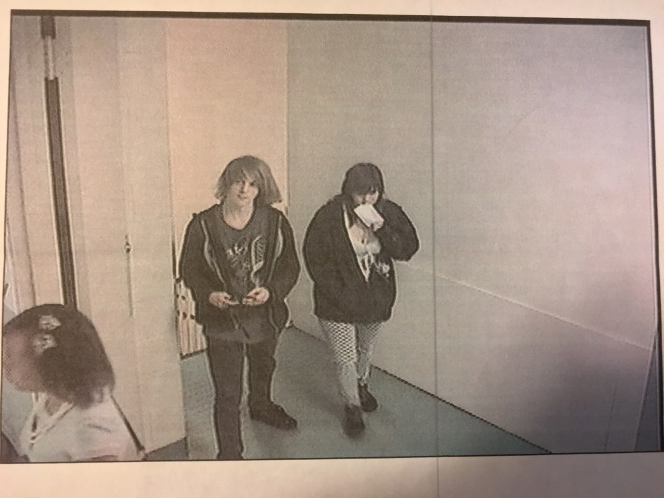 Surveillance4 photo of Ali Lowitzer