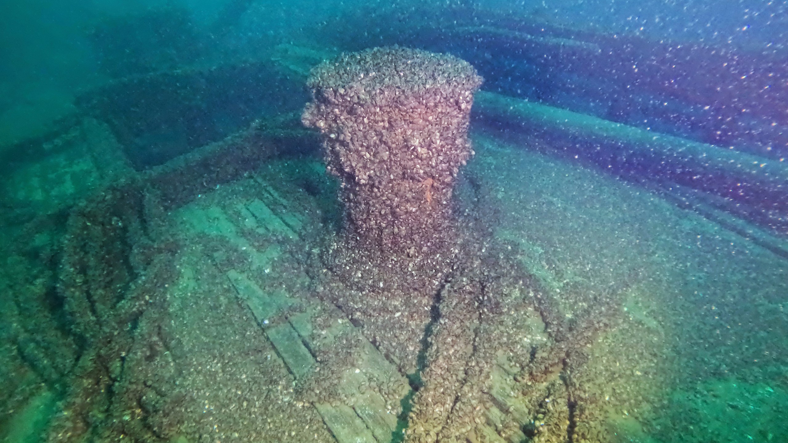A shipwreck under water