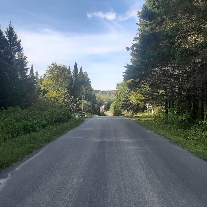 A long driveway