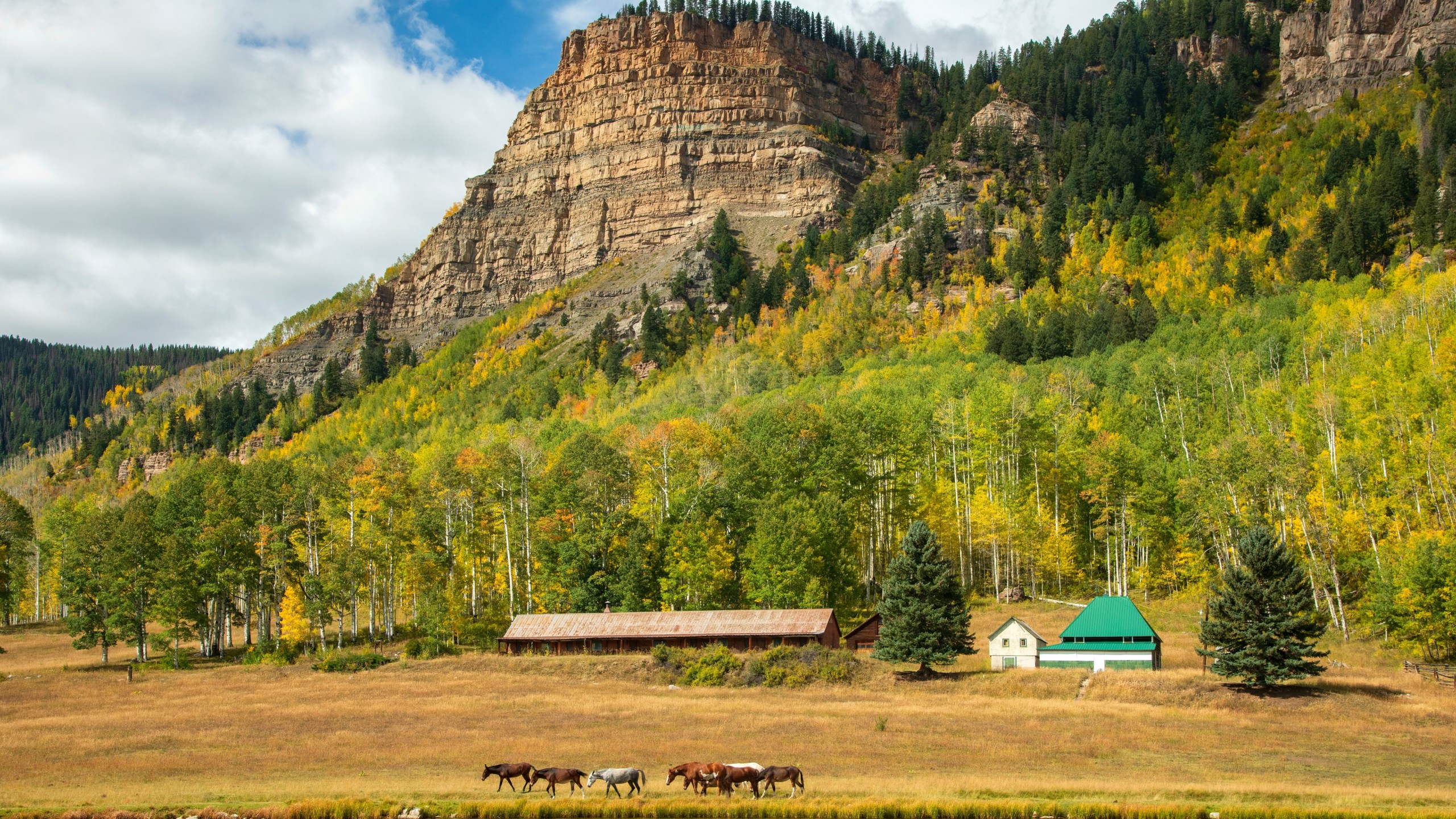 USA, Rocky Mountains, Colorado, Durango, San Juan National Forest,Highway 550.