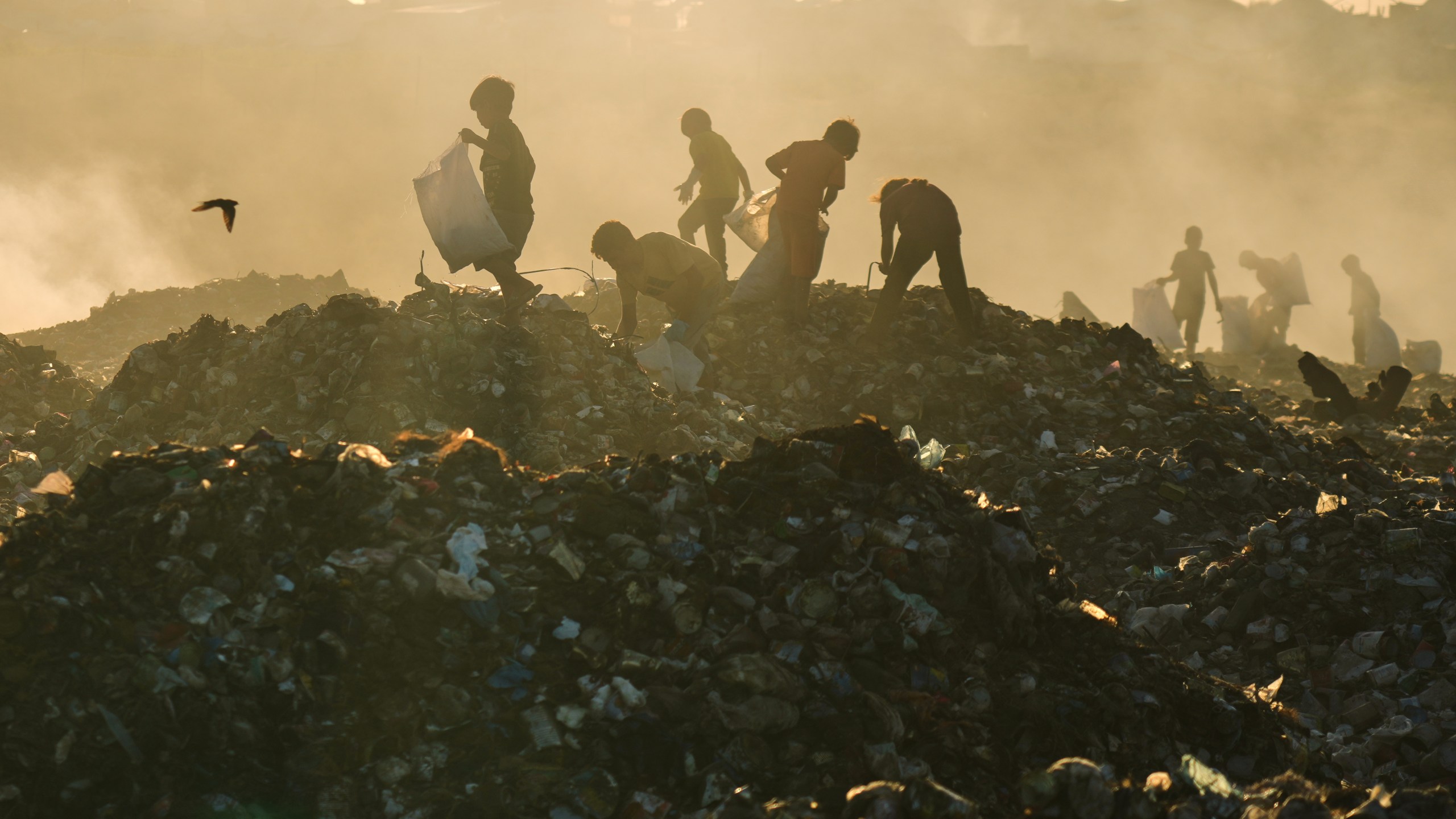 Displaced Palestinian children search for firewood and plastic in a landfill beside the makeshift tent camp where they are taking shelter, in Khan Younis, southern Gaza Strip, Tuesday, Sept. 30, 2025. (AP Photo/Jehad Alshrafi)
