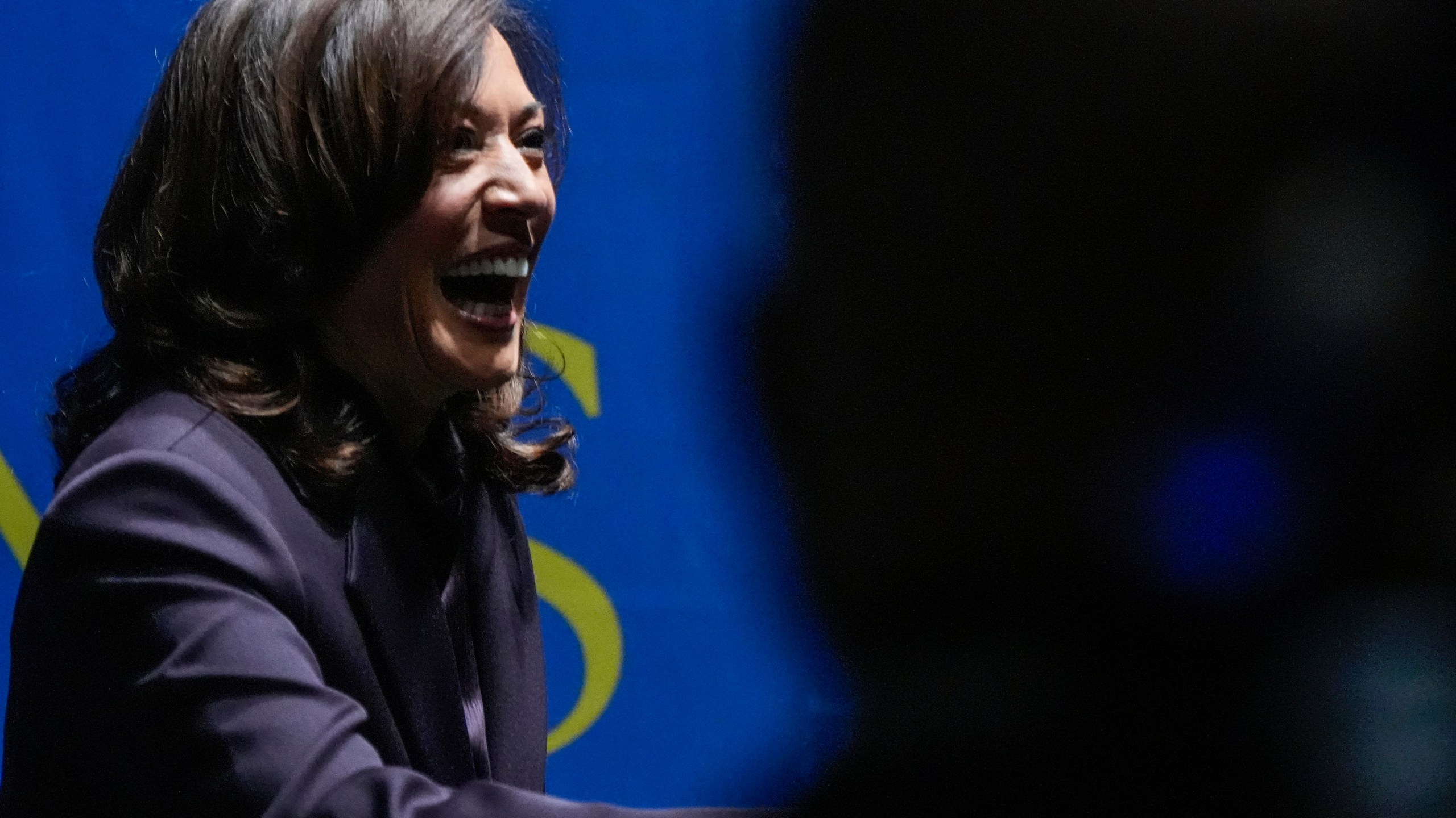 Former Vice President Kamala Harris greets people before she speaks, Friday, Oct. 17, 2025, in Birmingham, Ala. (AP Photo/Mike Stewart)